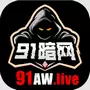 91暗网